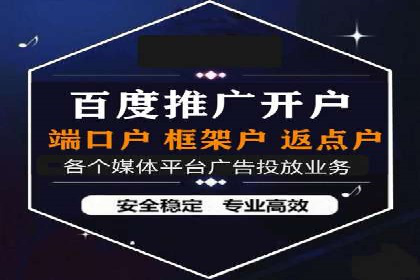 案例分析：SEM推广助力行业竞争突围